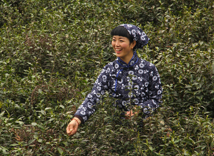 韩国女主播在线 直播